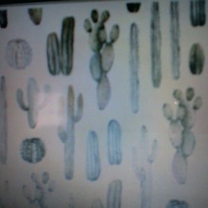 Meet your Posher, Brynnlee